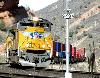 51-up8406